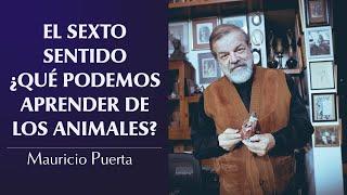 ¿Existe el sexto sentido y donde se estudia en tu carta astral? | Mauricio Puerta