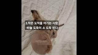 #멀리해야할사람#청담캔디언니#함서경#부의인사이트#긍정적마인드 #긍정의말 #1분동기부여 #성공으로가는길 #인생수업 #인생조언