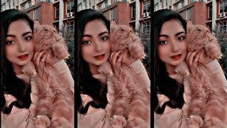 Teri Meri TikTok Tranding video Xml by @Binoy FF . #xml #short