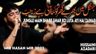 jangal main bhare ghar ko luta ayi hai zainab | Mir hassan mir noha 2022