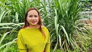 Npam koj loj kawg vim koj txoj kev siab phem 5/28/2025