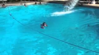 Brady on the Big Slide