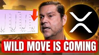 Urgent Update For People Holding XRP - Raoul Pal