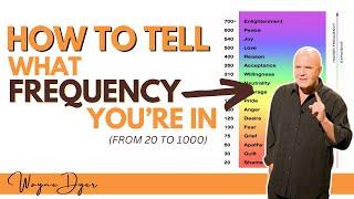 Use This Guide To Tell What Frequency You're In At Any Moment | Wayne Dyer On Hawkin's Map