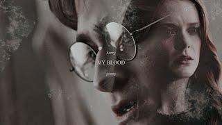 Harry and Ginny | My Blood