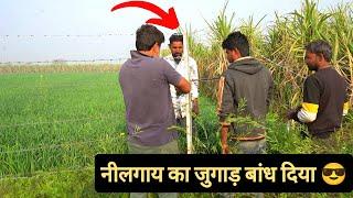 नीलगाय अब निकल कर दिखाये || Wild Animal Prevention || Hello Kisaan