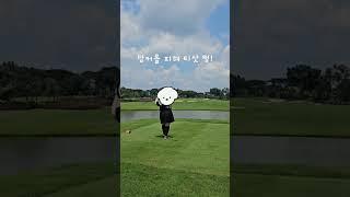 #인도네시아 #자카르타 #골프 #라운딩 #골프여행 #indonesia #jakarta #golf #royalejakarta