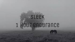 [1 hour endurance] Sleek Music -Sleek-