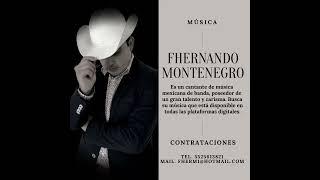 FHERNANDO MONTENEGRO CONTRATACIONES