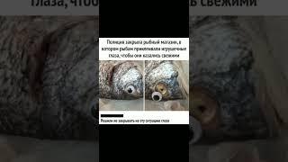 24 июня 2025 г.