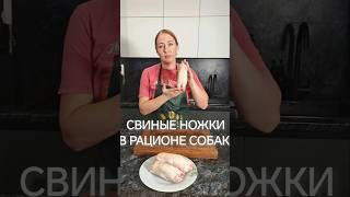 СВИНЫЕ НОЖКИ В РАЦИОНЕ СОБАК.