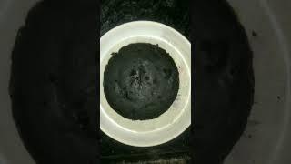#Oreo chocolate cake @ simple and easy to make it    #newsong
