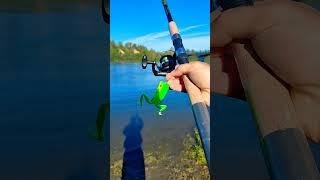 Ловля щуки на лягушку,как правильно #рыбалка #fishing #щука #вопросы #советы