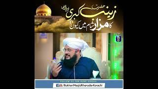 Syeda Zainab Bint Ali Ka Mazar Sham Me Kuo? @allamakhadimhussainrizvi3600