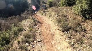 Oraiokastro mtb "Pig" trail