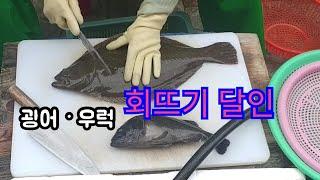 광어와 우럭 - 달인의 손질