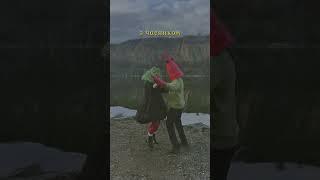 танцювала риба з раком