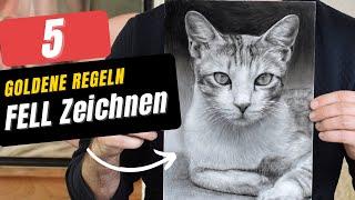 Fell Zeichnen - Die 5 Goldenen Regeln