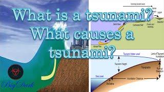 What is a tsunami? What causes a tsunami?