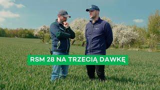 RSM W TRZECIEJ DAWCE BEZ WĘŻY - CO ON NAROBIŁ?! - #311 nawozy nonstop