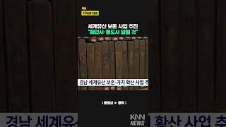 세계유산 보존 사업 추진 "해인사·통도사 알릴 것" #shorts