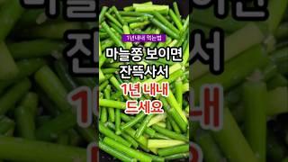 마늘쫑 1년 내내 먹는 방법 #건강 #건강정보 #건강상식