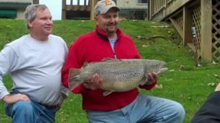 Missouri Record Fish Stories - Brown Trout