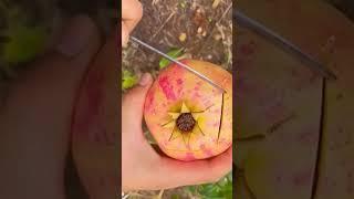 ️Granada Fruit #nutritious #fruit #fruitcutting #amazing #satisfying #shorts #fyp #viralvideo #wow