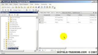 BizTalk 2006/R2 - 01-10 Overview - SQL Databases