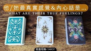 他/她最真實的感覺&內心話字卡️黑皮好思HappyHouse Tarot⭐塔羅&能量顯化#感情 #諮詢 #心理 #tarotreading