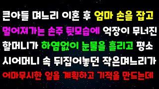 큰아들 며느리 이혼후 엄마 손을잡고 멀어져가는 손주 뒷모습에 억장이 무너진 할머니가 하염없이 눈물을 흘리고 평소 시어머니속 뒤집어놓던 작은며느리가 어마무시한 일을 계획하고 곧기적이