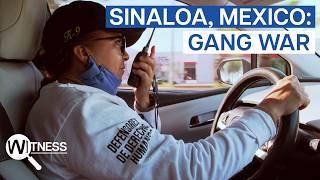 How Mexico's Gangs Have Become An Unstoppable Mafia | Witness | Drug Trafficking Documentary