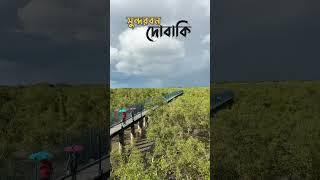 Dobaki Sundarban #travel #shortvideo #ytshorts #sundarban