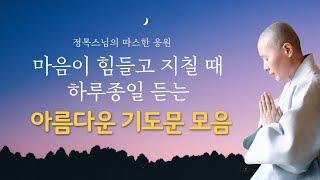 하루에 한 번씩 들어보세요~  삶의 한가운데서 용기와 위로를 얻고 싶을 때 / 정목스님의 좋은 말씀 / 마음의 힘을 기르는 유나기도문 모음