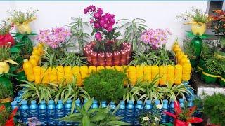 AMAZING GARDENING IDEAS FOR HOME