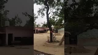 my vilage#shorts #adarsh vlog