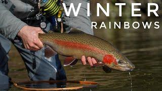 Fly Fishing New Zealand’s Winter Trout rivers