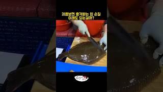 처음보면 충격받는 회 손질, 이래도 되는걸까?