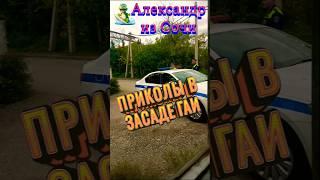 Дорожный патруль пародия#animals #юмор #пародия #прикол #смех  #ржака #смешнойшортс #угар .