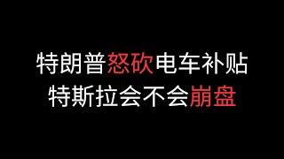 特朗普怒砍电车补贴 特斯拉会不会崩盘