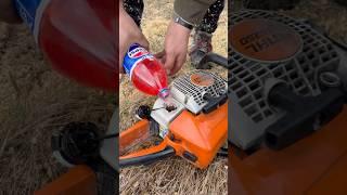 PEPSI STIHL - MS 250