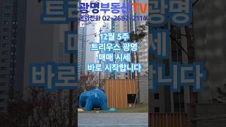 트리우스 광명 매매 시세 12월5주 광명뉴타운 2구역 아파트 뉴타운현대부동산 #광명뉴타운 #광명아파트 #트리우스광명 #광명재개발 #광명사거리역 #광명시장