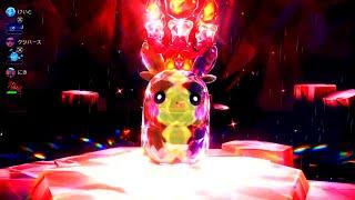Morpeko-02-Fire[Pokemon SV ⁶Tera Raids]⁰⁸¹ᵇ