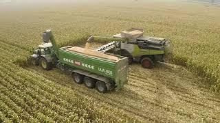 2 X LEXION 8900 im MAIS !  John Deere 7R mit TRIDEM HAWE Überladewagen