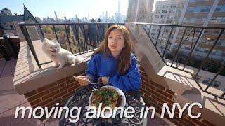 a productive weekend living alone in my new apartment | MOVING ALONE IN NYC ep.4