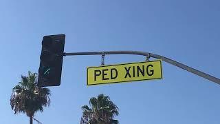 07  Signs   PED XING