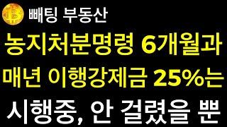 부동산 농지처분명령 6개월과 매년 이행강제금 25%는 시행중이나 잠잠한 것은 단지 안 걸렸기 때문이다