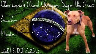 Ode To The Pitbull | Gr Ch Siega The Great