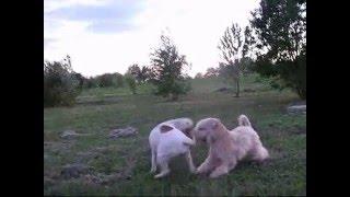 Про любовь и дружбу-)))