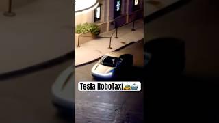 Tesla Unveiled the RoboTaxi and More! 